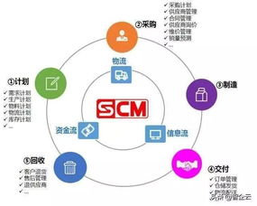 网络安全顾问眼中的网络安全软件——想家官方免费下载，快速解答策略实施_Tizen_v6.607深度分析