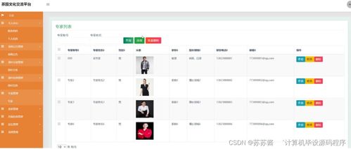 迷彩兔官方下载,创新性策略设计-WP版_v3.428
