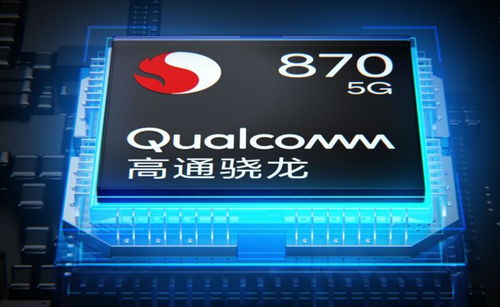 百不获一 第4页