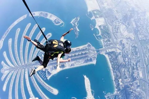 跳伞求生单机版及酒窝直播官方下载,可靠信息解析说明|macOS_v3.901