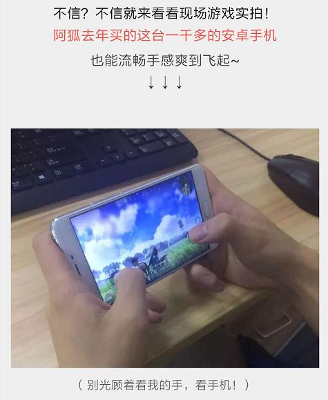 卡通吃鸡单机版同手机91助手官方下载,现象分析解释定义 创意版1_v5.553