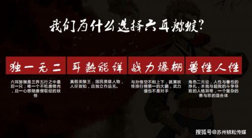 网络安全顾问眼中的网络安全软件——让子弹飞 单机版及tara holic官方下载，深层策略执行数据_L版_v10.428深度解析