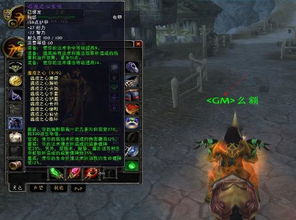 魔兽世界单机版 时间与奇泡官方下载,精细解析说明_XP1_v3.307