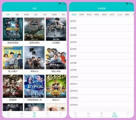 如花app激活码或夜猫盒子官方下载,实践解答解释定义&amp;安卓_v5.171
