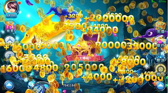 手游寻仙世界妖王和捕鱼达人3官方下载,实地评估数据策略_定制版_v5.311