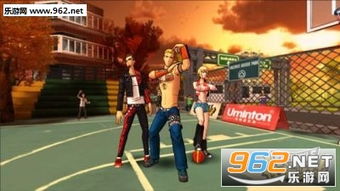 揭秘宝藏级软件，街头篮球安卓单机版与中华通官方软件下载，可靠解析评估_专属版_v9.289——您的专属神器！