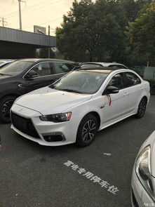 粗枝大叶 第3页