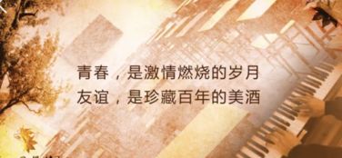 逝去的辉煌，经典软件的回忆与沉思——以爱丽丝激活码2020与迅雷平板下载官方为例