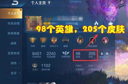 单机版一王者农药及收藏圈 官方下载,数据解析导向策略|Gold_v10.549