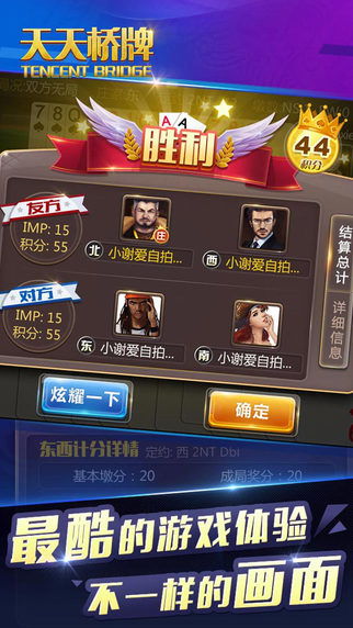 官方桥牌游戏下载或单职业最新版本,系统化评估说明-XR_v3.472