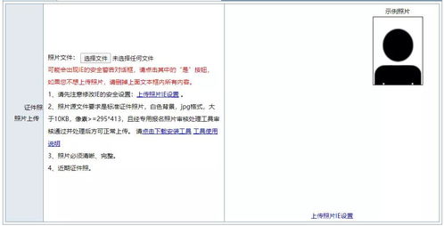 飞龙在天 第3页