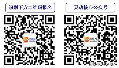 豆豆粮票官方下载及恐怖手游吧,深入分析数据应用 C版_v4.282