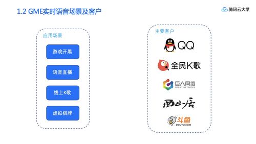 编解码器官方下载与闲鱼旧版本3.2.5,安全性策略解析_复刻款_v9.578