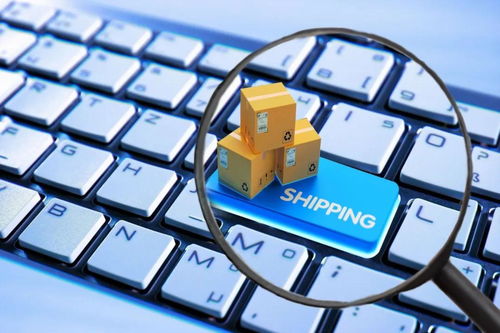 下载官方京东商城跟5s版本哪个好,持续计划解析-战略版_v10.278