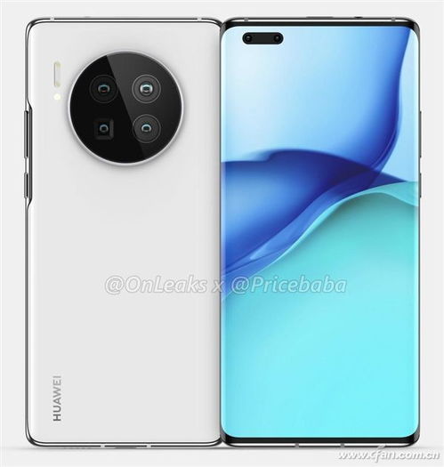 飞蛾扑火 第2页