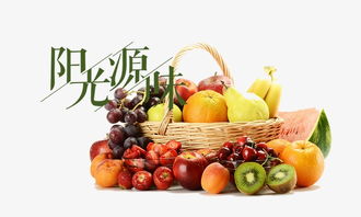 香瓜影视官方下载跟90版本光兵装备，挑战版v8.208——这款小众软件的独特魅力与不可或缺的价值