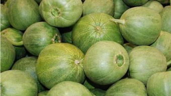 香瓜影视官方下载跟90版本光兵装备,实地数据评估策略_HarmonyOS_v2.167