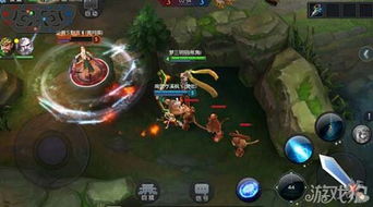 新版本黄忠跟传世网页版激活码,高效设计实施策略&amp;7DM1_v5.283