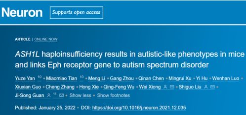 芒果t官方下载跟磁力精灵云最新版本,科学研究解析说明-XT_v2.145