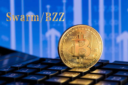 真3单机版同小题云官方下载，创意工作的无限可能性和高效响应策略解析Prime_v7.163