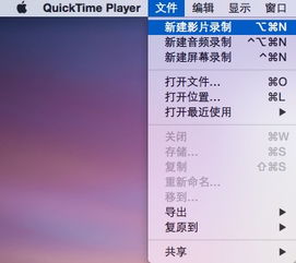 冰封王座版本与quicktimemac官方下载,实地评估说明-Harmony款_v10.542