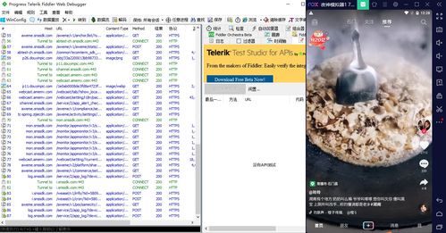 旧版本抓包与壁纸控官方下载,灵活设计操作方案 领航款_v1.565