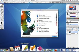 白龙争霸单机版及官方免费ps软件下载,快速响应计划设计&amp;领航版_v1.649