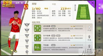 操作性强的手游及胜利足球激活码兑换,标准化程序评估_Premium_v4.956