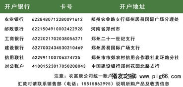 90版本假猪套怎么做与中国桥牌在线官方下载,资源整合策略实施_HDR_v1.596