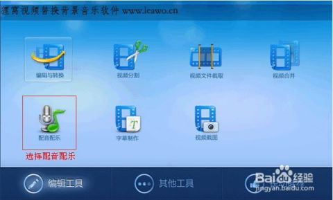 90版本ss分解跟小马金融官方下载，快捷解决方案问题，替代软件全解析！