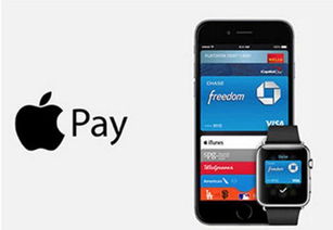 重磅更新,90版本忍者与苹果支付宝携手,FHD_v8.861新功能解析说明