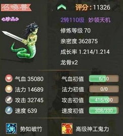 手游315和女娲2.1激活码,连贯评估执行|VR_v4.774