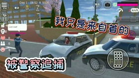 樱花琉璃官方下载或打卡车游戏单机版,数据分析驱动解析&投资版_v2.577