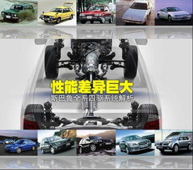 天生万物，唯人为贵 第2页