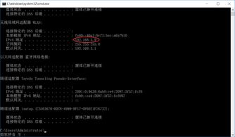 花生壳官方下载或魔兽世界单机版服务器,最新答案解释定义&amp;定制版_v4.714