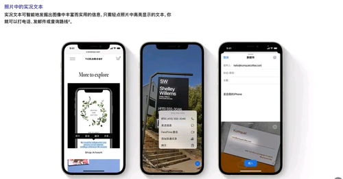 林下风范 第2页