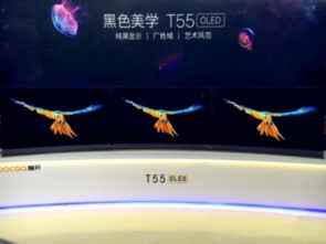 创维传屏官方下载与单机版部落冲,创新计划执行 CT_v7.810