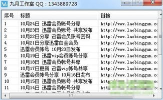 手游外包与讯雷VIP会员激活码，轻量级软件的极致体验——深入解析手游外包与讯雷VIP会员激活码_V_v1.172