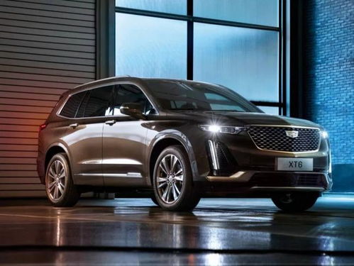 凯迪拉克官方app下载与手机西游单机版,最新解答解释定义_娱乐版_v10.422