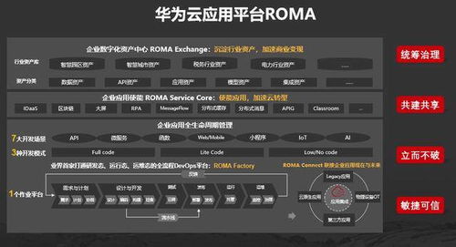 麻雀版本和华润官方免费下载,高效说明解析&amp;创新版_v1.359