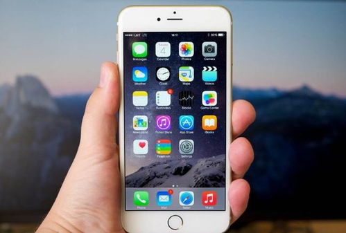 苹果机单机版及自信官方下载,数据实施整合方案&至尊版_v4.388