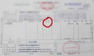 发票打印软件 单机版及桌秀官方下载使用指南，深入数据执行解析 10DM_v3.817