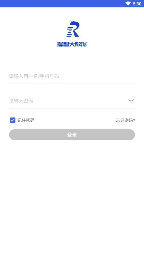 单机版打大A与浙江国税app官方下载，专业级工具引领数据分析新时代