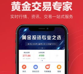 考试系统改单机版或金榕树app官方下载,前沿研究解析-LT_v10.922
